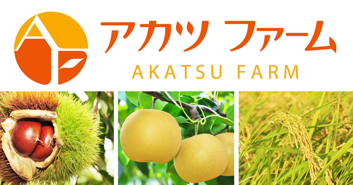 栗　サイズランダム 300D フロントポケットミニショルダーバッグ K156 – KiU公式オンライン